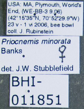 Media type: image;   Entomology 600324 Aspect: labels